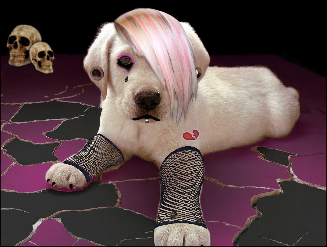 Photoshop Design by dsfunk for DesignCrowd (Community Contests) | Design #8946143