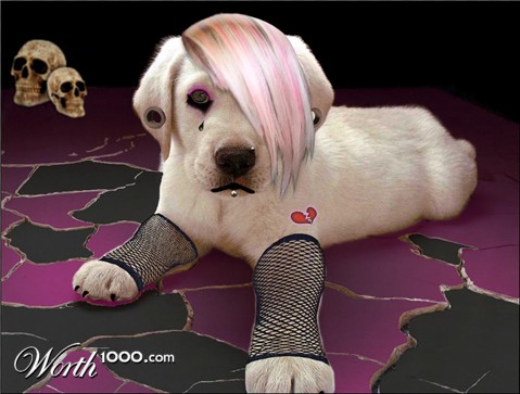 Photoshop Design by dsfunk