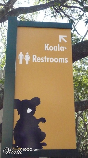 Photography by althor1170