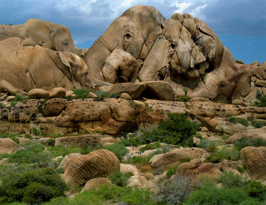 Photoshop Design by ozplasmic for DesignCrowd (Community Contests) | Design #8942107