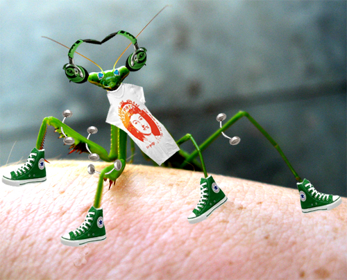 Photoshop Design by BanjoedShrimp for DesignCrowd (Community Contests) | Design #8946122