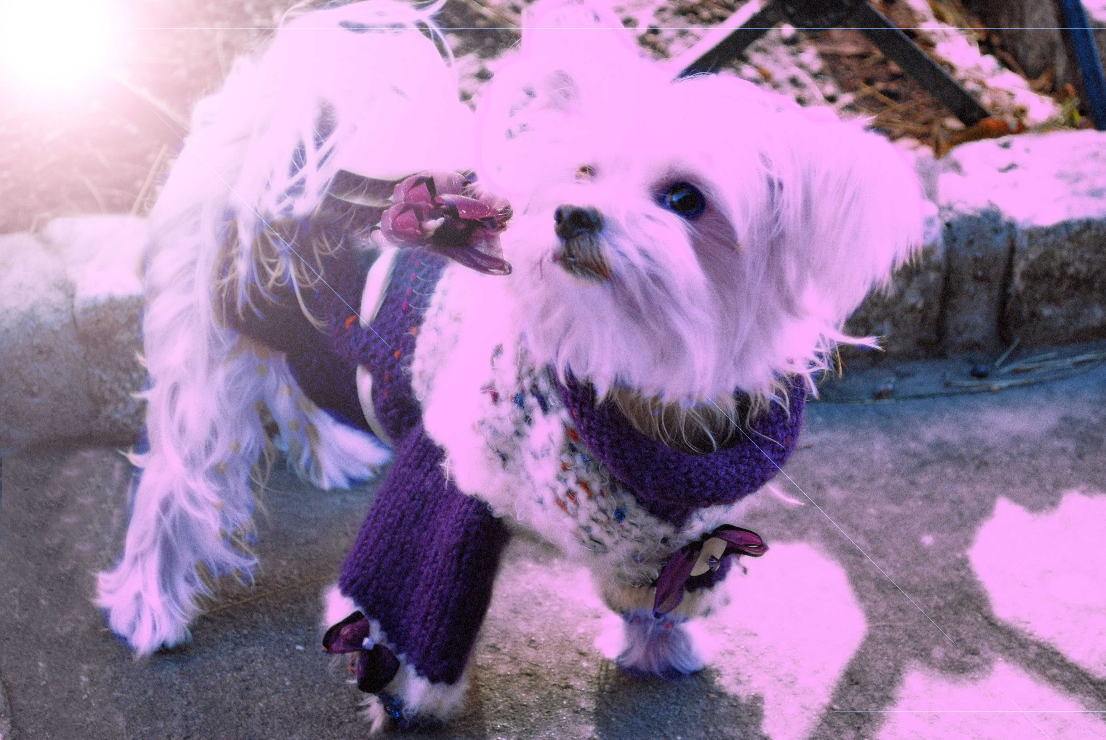 Photoshop Design by mdali2020 for DesignCrowd (Community Contests) | Design #8946127