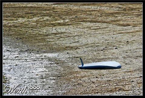 Photography by darynman
