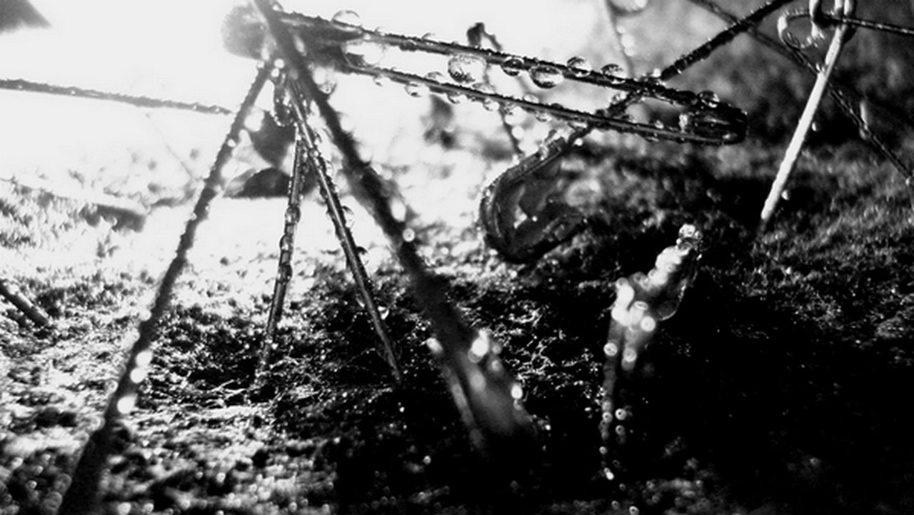 Photographie par Kadddah pour DesignCrowd (Community Contests) | Design #8937983