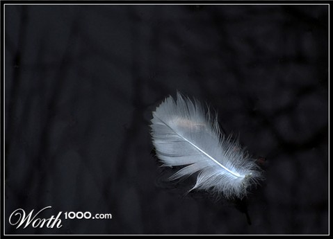 Photography by essjaynz