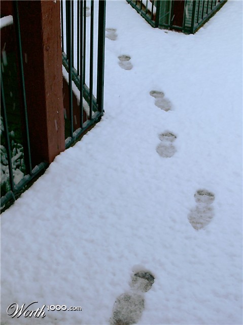 Photography by tsitrA