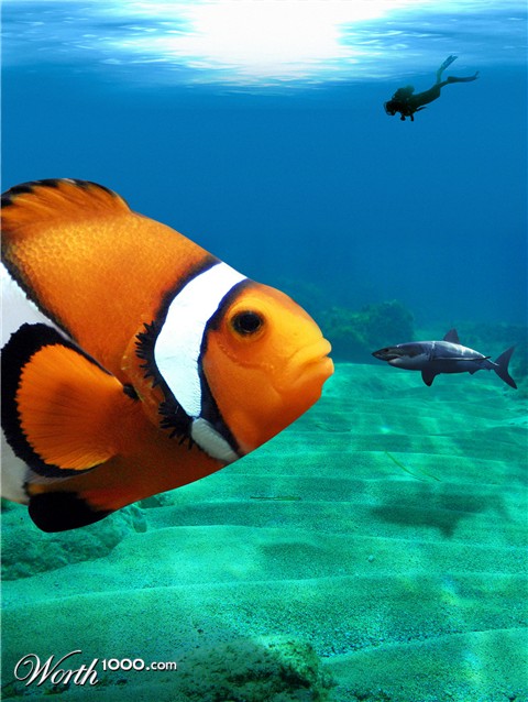 Photoshop Design by freidyg