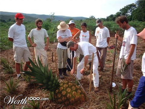 Photoshop Design by jrsoares