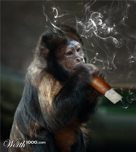 Photoshop Design by snakebit