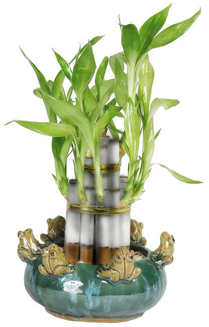 Photoshop Design by thunderhorse for DesignCrowd (Community Contests) | Design #8945943