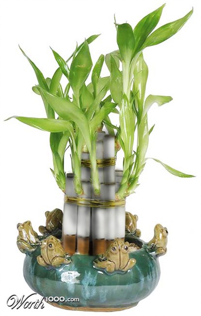 Photoshop Design by thunderhorse