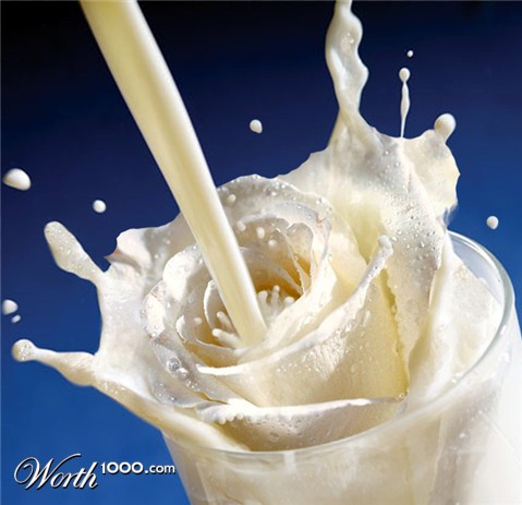 Photoshop Design by beanfarmer