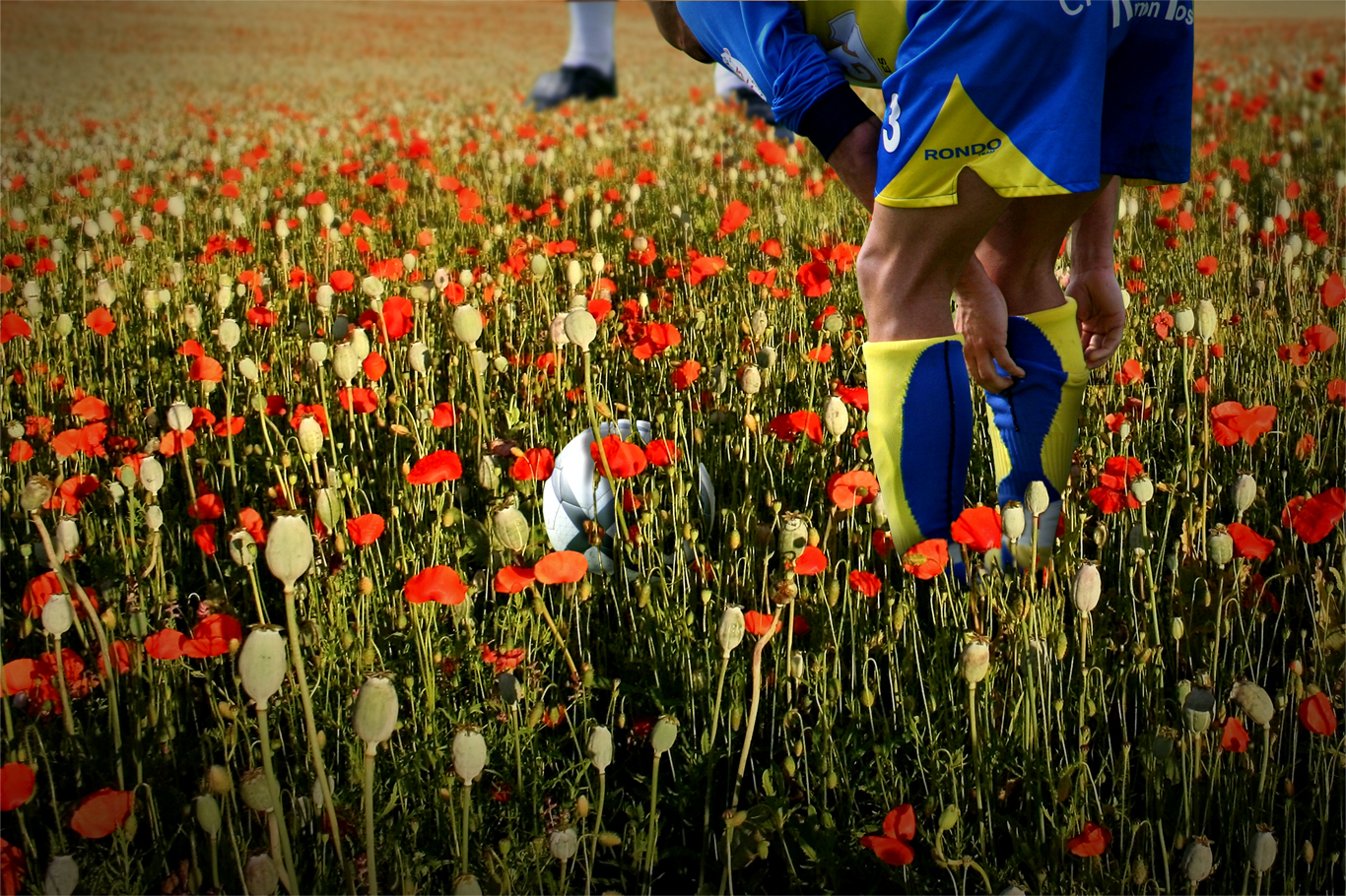 Photoshop Design by Junnoir for DesignCrowd (Community Contests) | Design #8941561