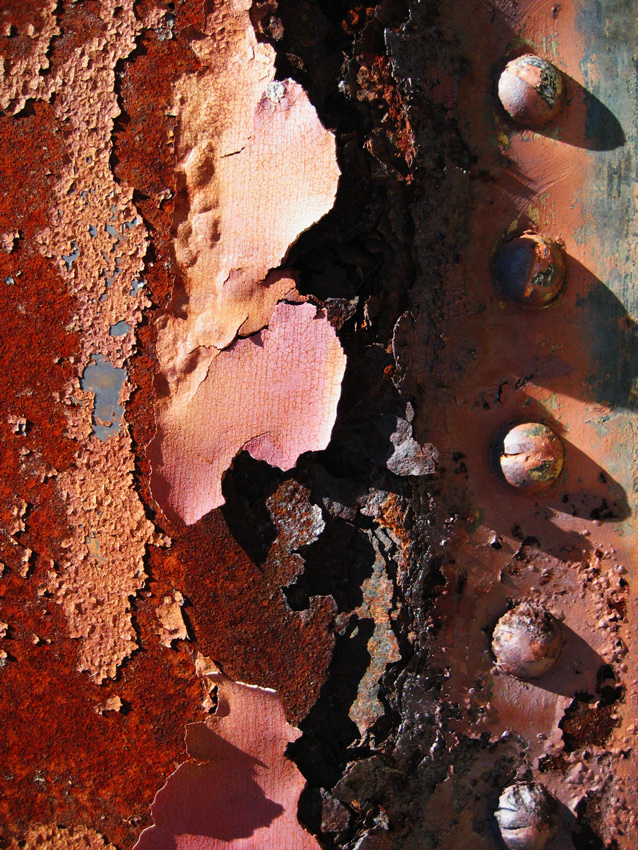 Photography by mangoslushy for DesignCrowd (Community Contests) | Design #8937996