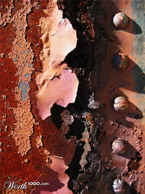 Photography by mangoslushy