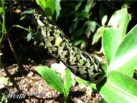 Photoshop Design by sternindernacht