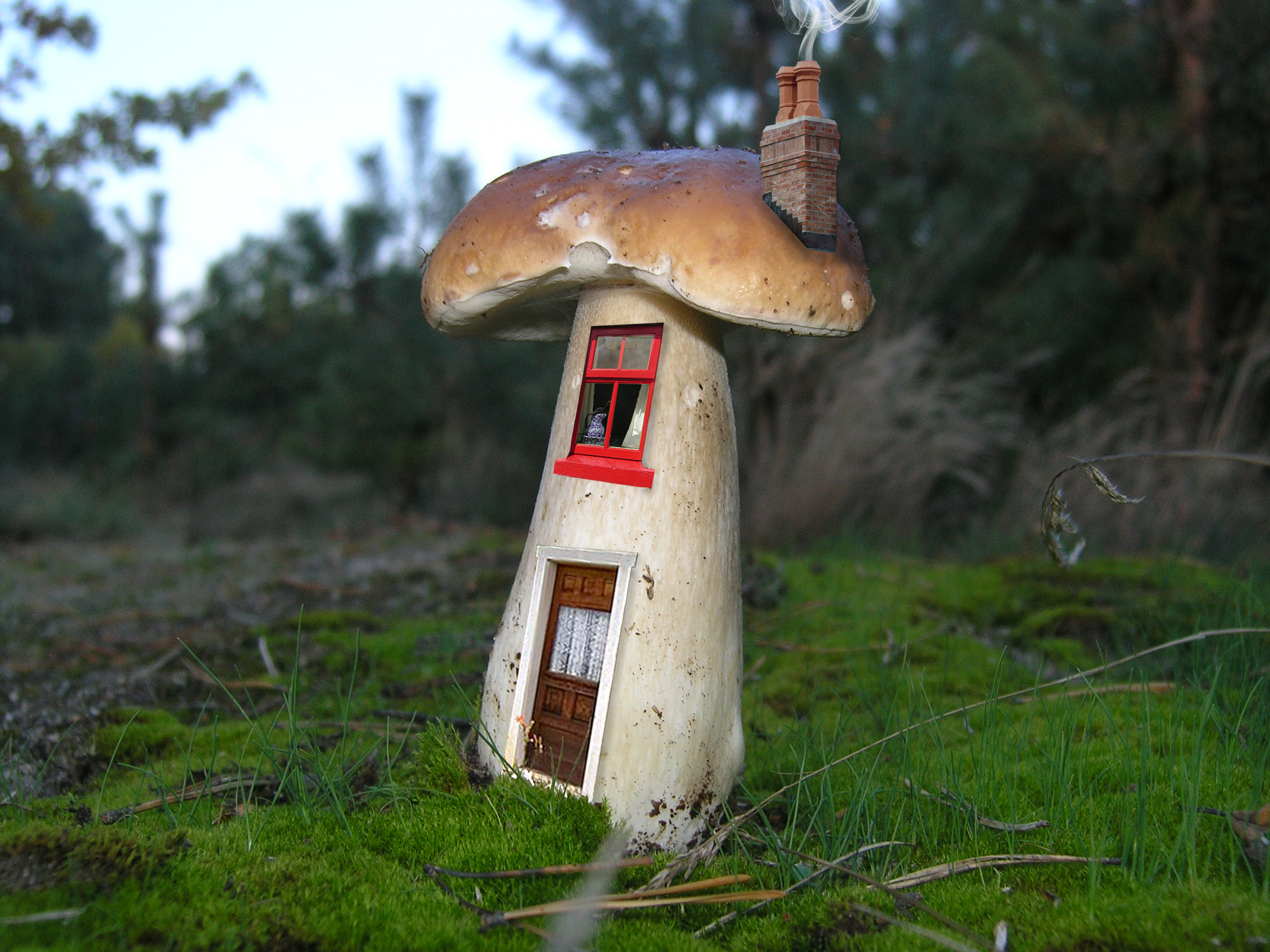 Diseño de Photoshop por rrhelhound para DesignCrowd (Community Contests) | Diseño #8941778