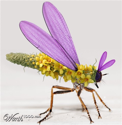 Photoshop Design by anavrin2009