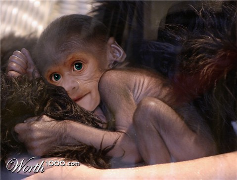 Photoshop Design by chrcha26