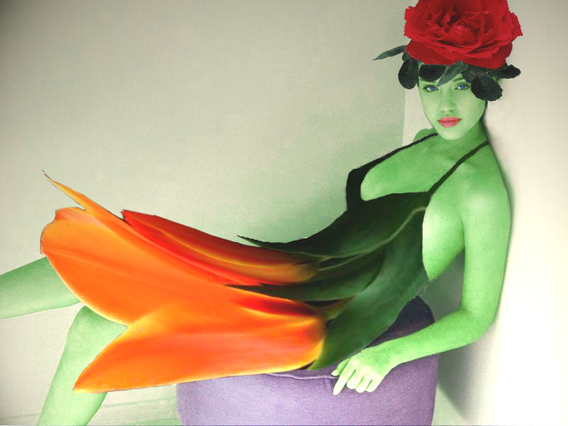 Photoshop-Design von pochiex2 für DesignCrowd (Community Contests) | Design #8941607