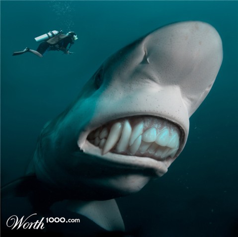 Photoshop Design by Kjirka