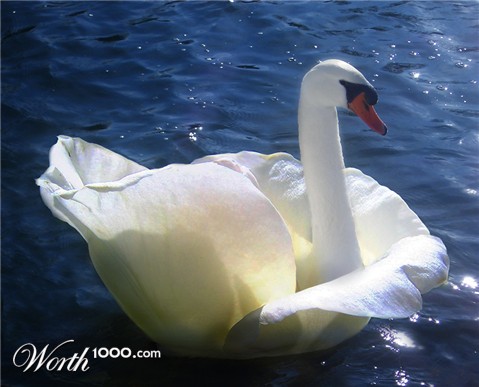 Photoshop Design by castiza