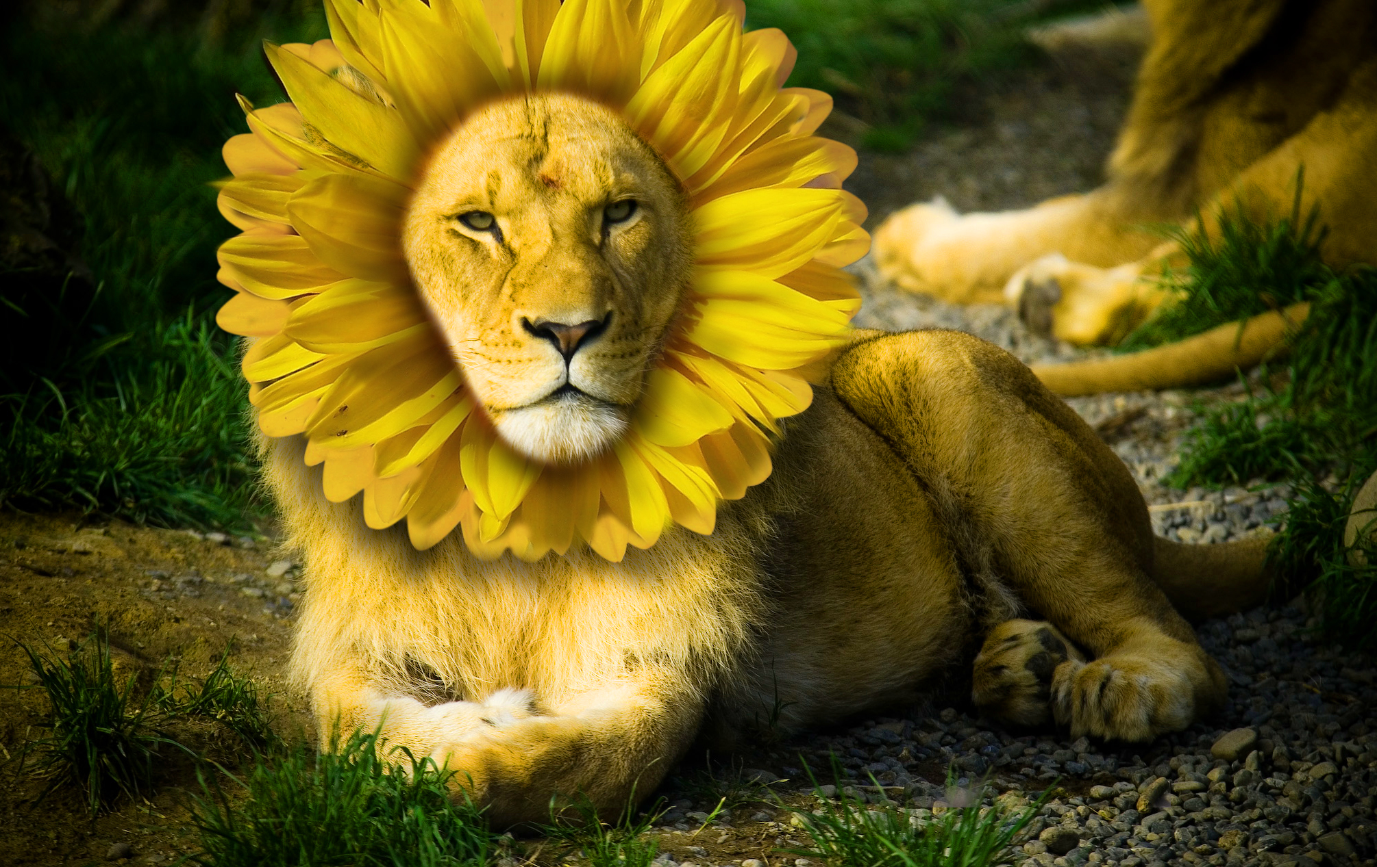 Photoshop-Design von de0xis für DesignCrowd (Community Contests) | Design #8941633