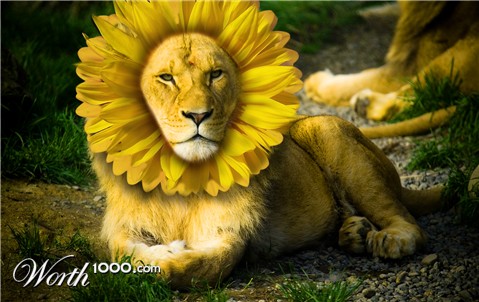 Photoshop Design by de0xis