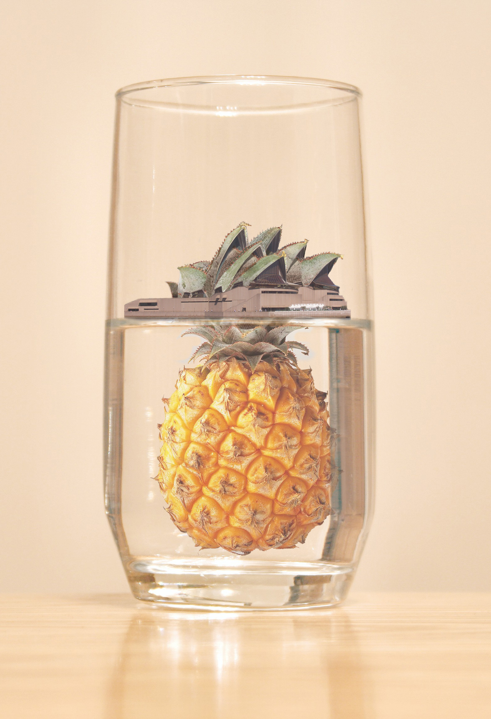 Photoshop Design by rmcelroy for DesignCrowd (Community Contests) | Design #8941973