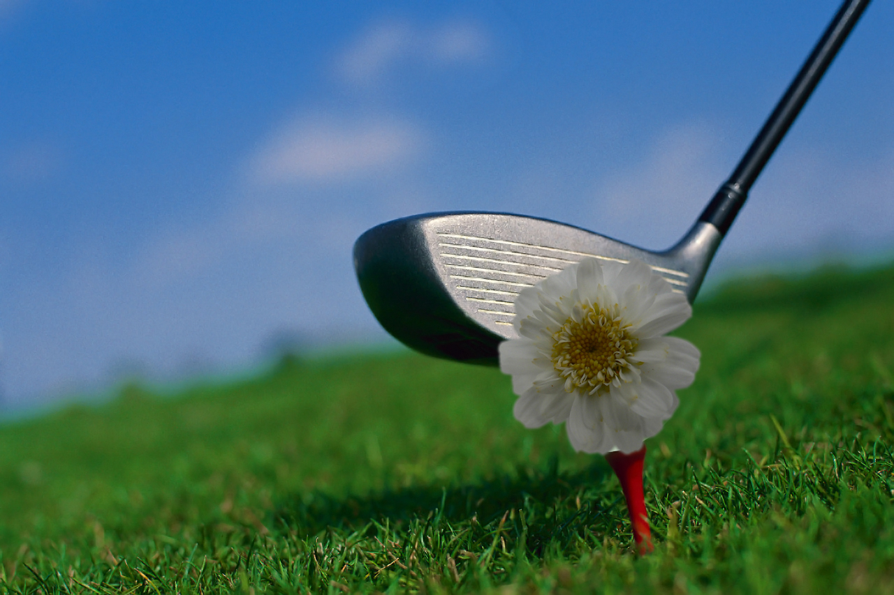 Diseño de Photoshop por mediagraphik para DesignCrowd (Community Contests) | Diseño #8941662