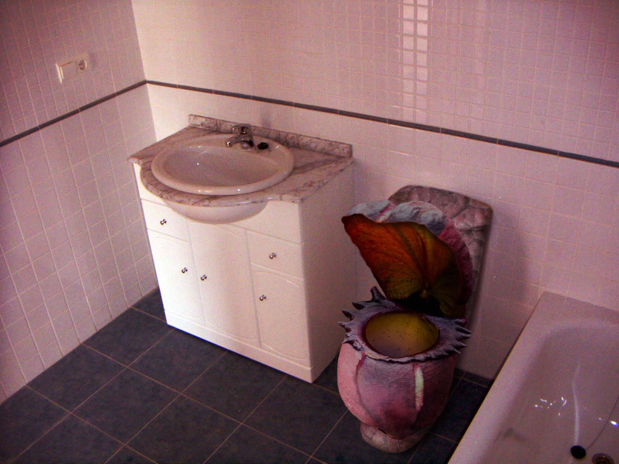 Design Photoshop par Dreamsprite pour DesignCrowd (Community Contests) | Design #8941682