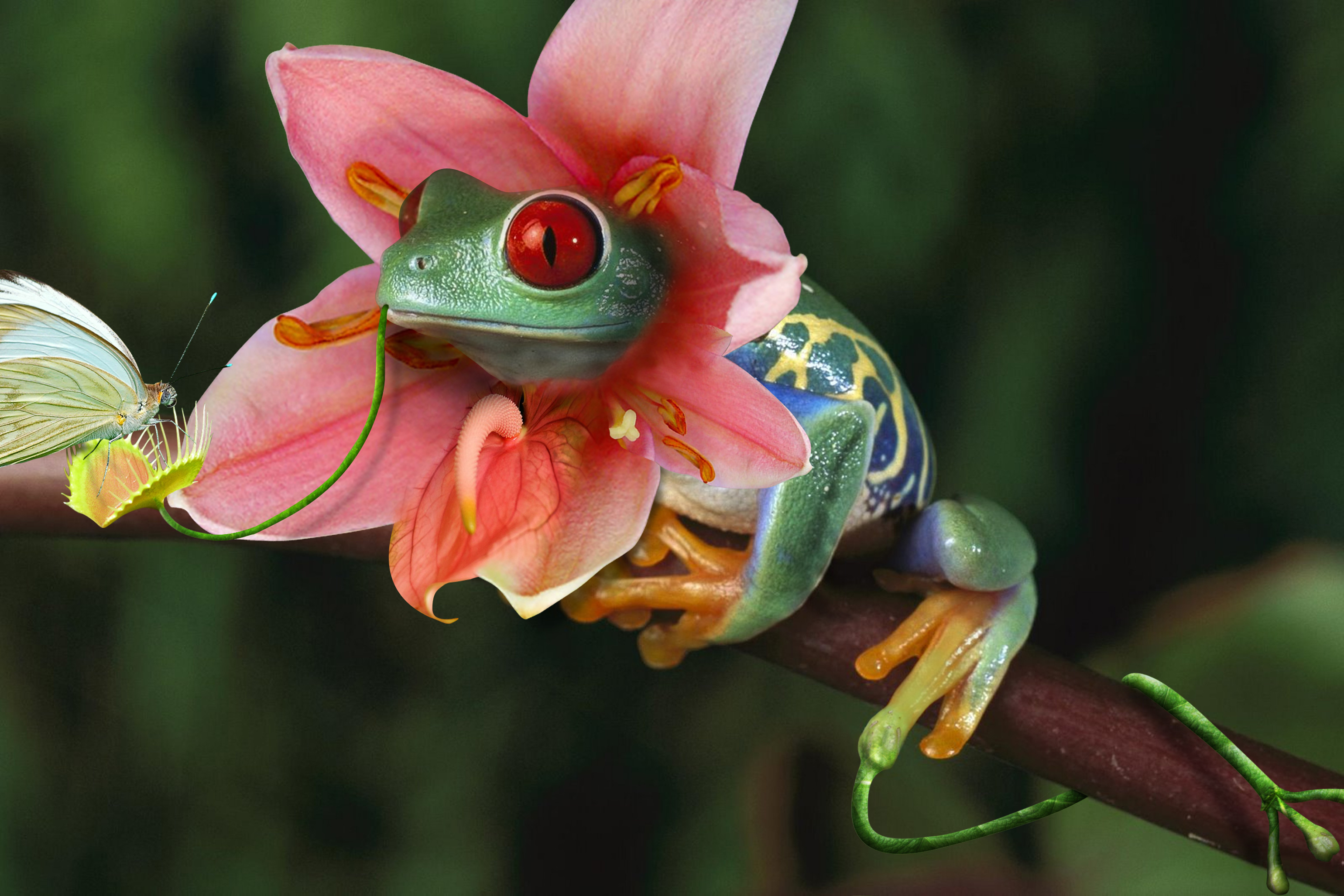 Photoshop Design by PixelTestMT for DesignCrowd (Community Contests) | Design #8941669