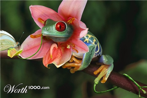 Photoshop Design by PixelTestMT