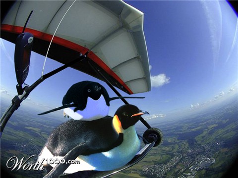 Photoshop Design by mercury11