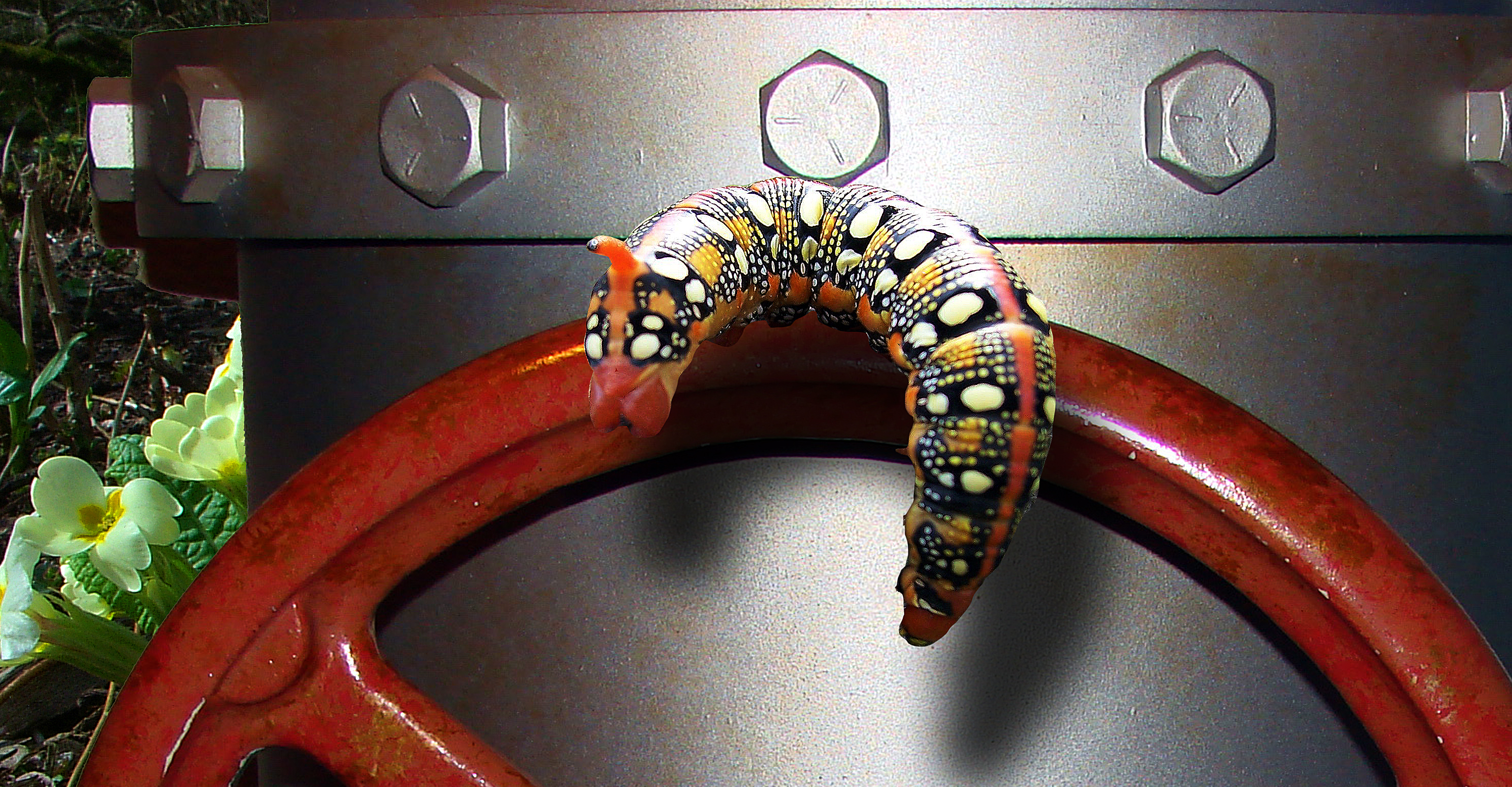 Photoshop Design by allstate for DesignCrowd (Community Contests) | Design #8945627