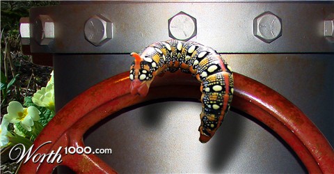 Photoshop Design by allstate