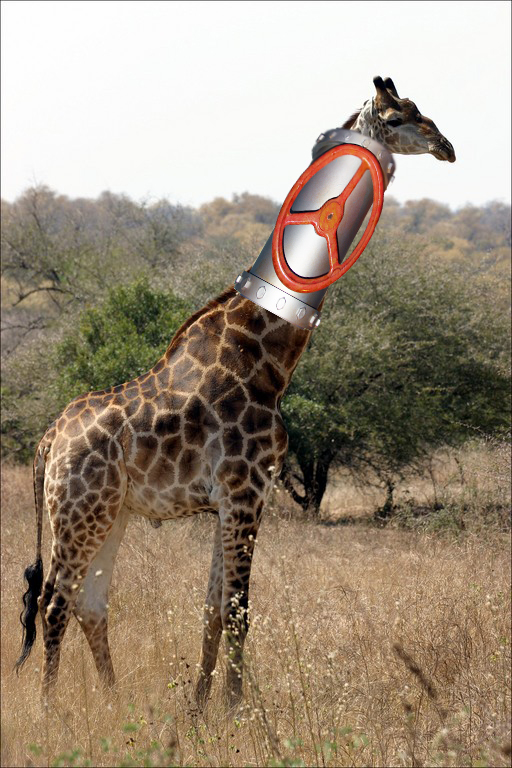 Photoshop-Design von Recolo für DesignCrowd (Community Contests) | Design #8945642