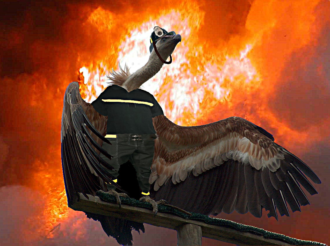 Photoshop Design by ZeKurbaVerde for DesignCrowd (Community Contests) | Design #8939905