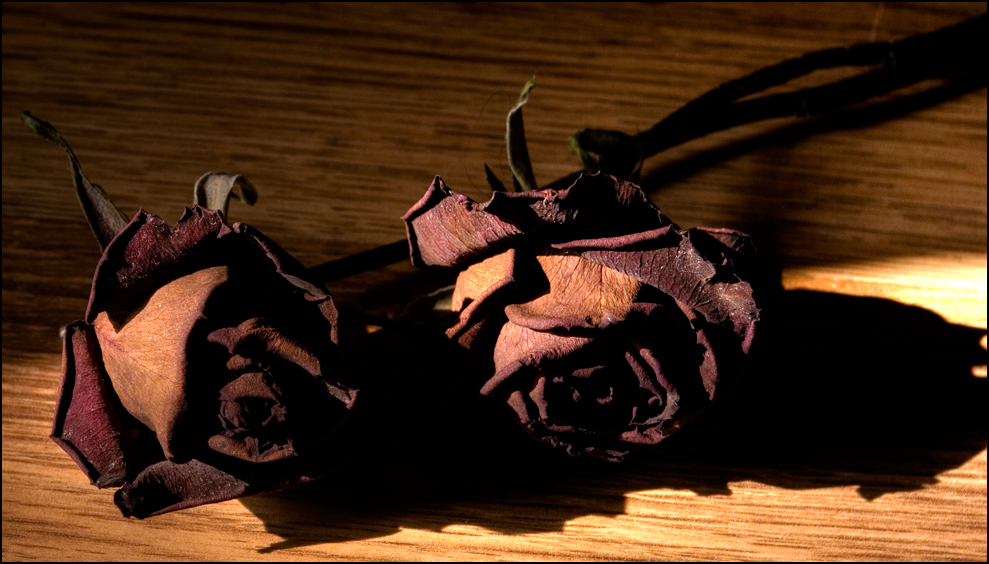 Photography by paulf1970 for DesignCrowd (Community Contests) | Design #8938053