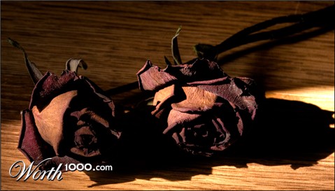 Photography by paulf1970