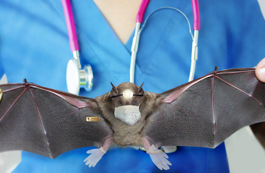 Photoshop Design by Macido for DesignCrowd (Community Contests) | Design #8939911