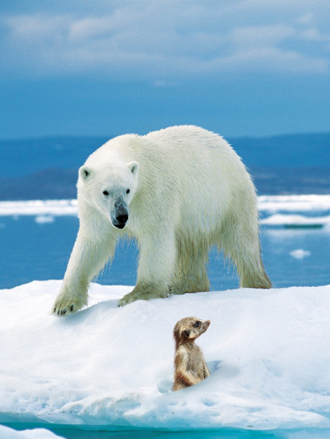 Photoshop Design by Larssonpsd for DesignCrowd (Community Contests) | Design #8945179