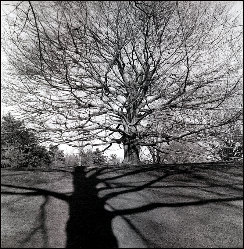 Photography by sculptor999 for DesignCrowd (Community Contests) | Design #8938317