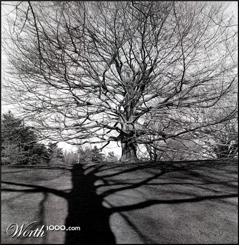 Photography by sculptor999