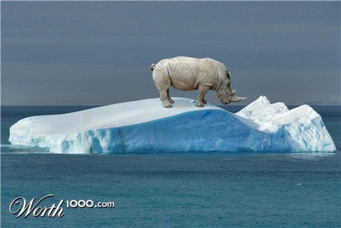 Photoshop Design by keysersoze666