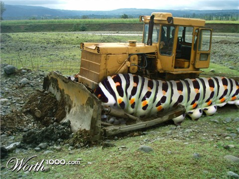 Photoshop Design by Jamesdon380