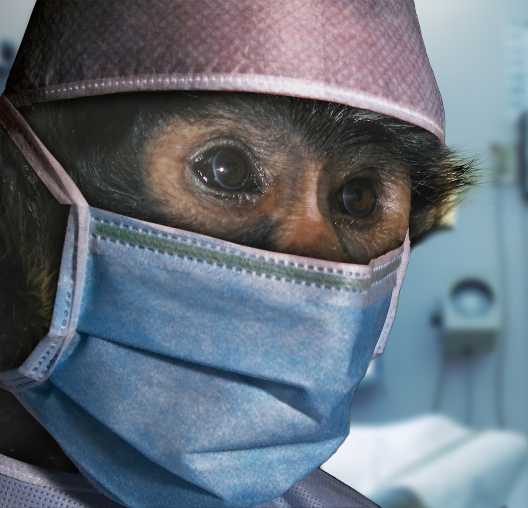 Photoshop Design by Paradoxnode for DesignCrowd (Community Contests) | Design #8939934