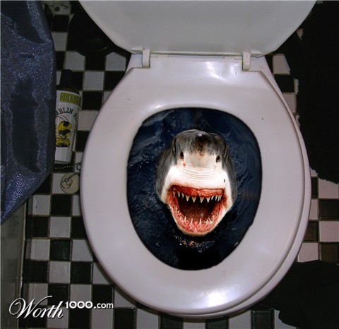 Photoshop Design by maxwell09