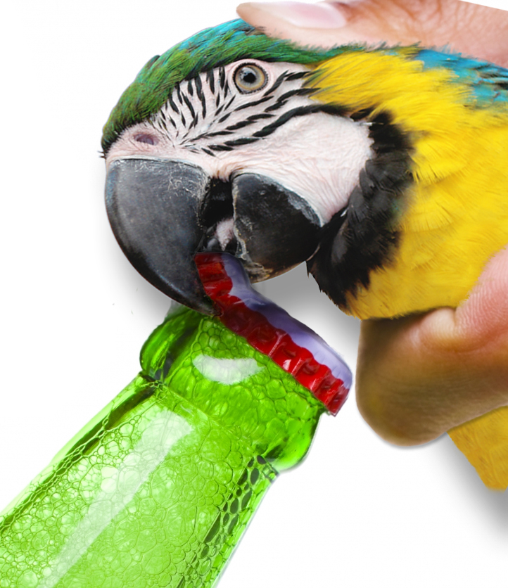 Design Photoshop par JuniorWences pour DesignCrowd (Community Contests) | Design #8939953