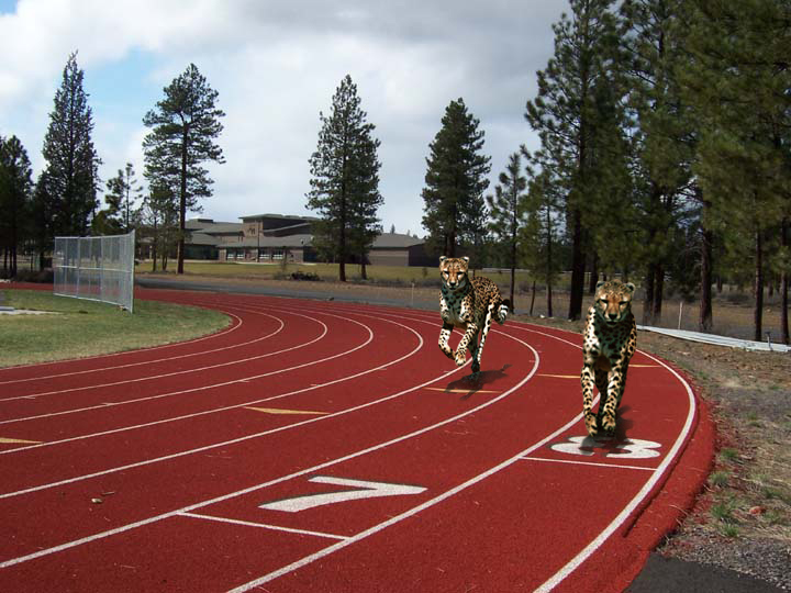 Photoshop Design by acidrain0117 for DesignCrowd (Community Contests) | Design #8945220